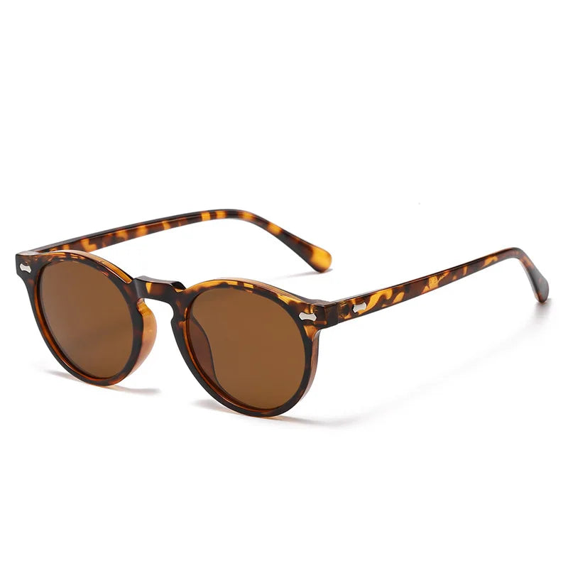 Ashford Sun Glasses